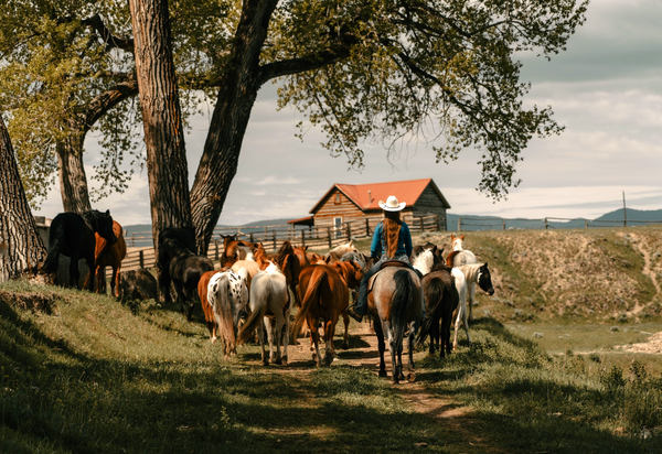 Art of the Cowgirl - Oklahoma Gathering